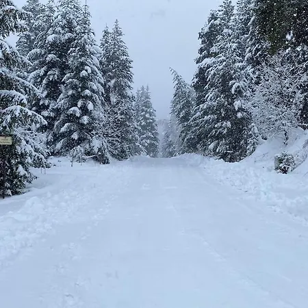 Des Ours - Southern Alps Chalet