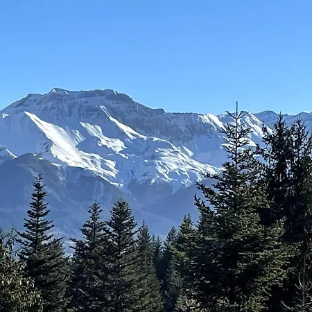 Des Ours - Southern Alps *